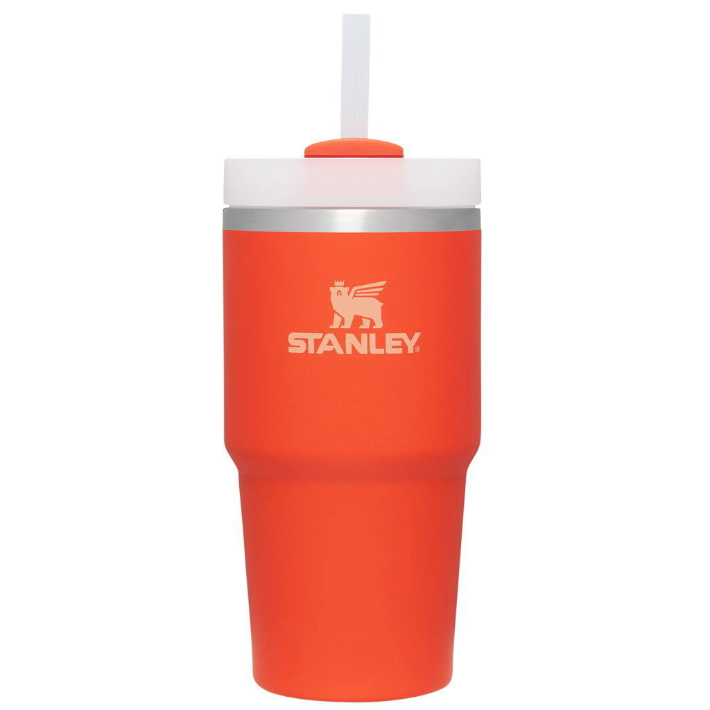 The Quencher H2.0 FlowState™ Tumbler | 20 OZ - More Daily Hydration