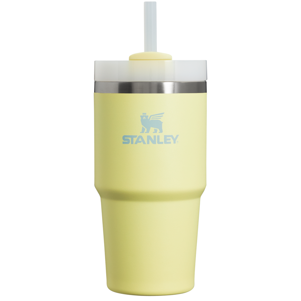 The Quencher H2.0 FlowState™ Tumbler | 20 OZ - Stanley Create - Ready for Long Days