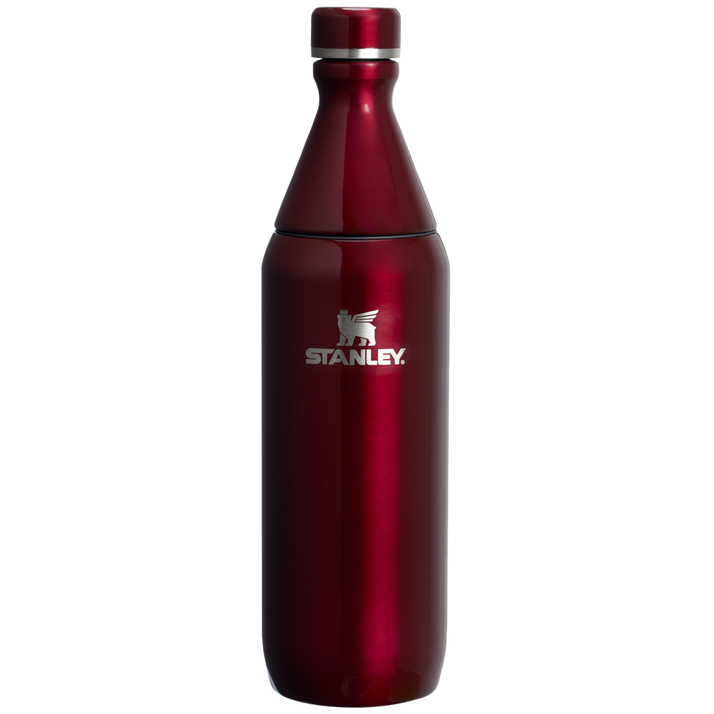 All Day Slim Bottle | 20 OZ - Stanley Create - School Day Ready