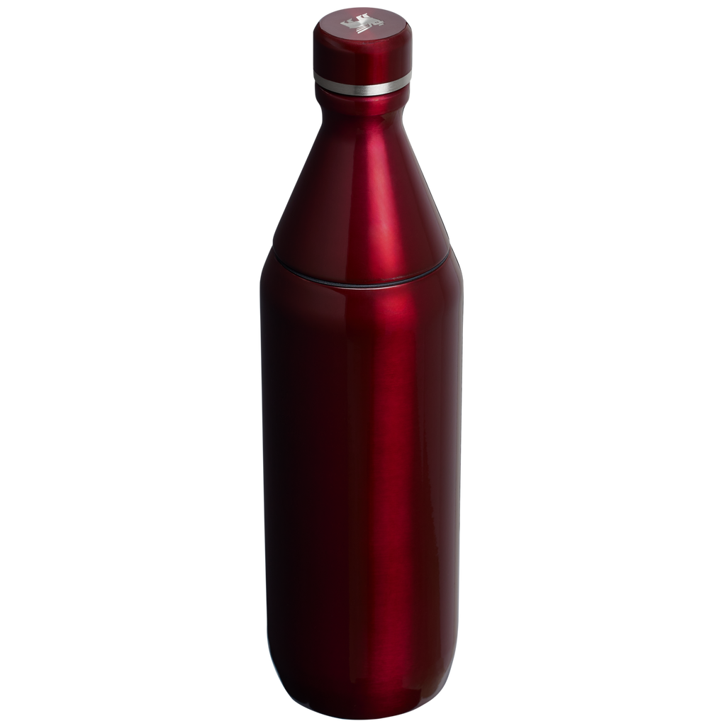 All Day Slim Bottle | 20 OZ - Stanley Create - School Day Ready