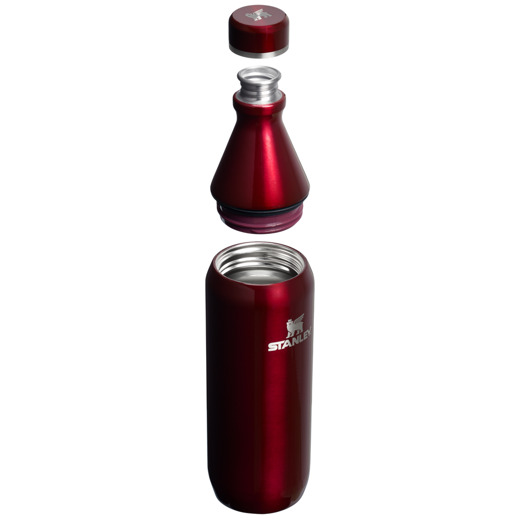 All Day Slim Bottle | 20 OZ - Stanley Create - School Day Ready