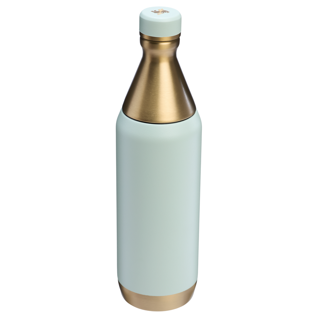 All Day Slim Bottle | 20 OZ - Stanley Create - School Day Ready