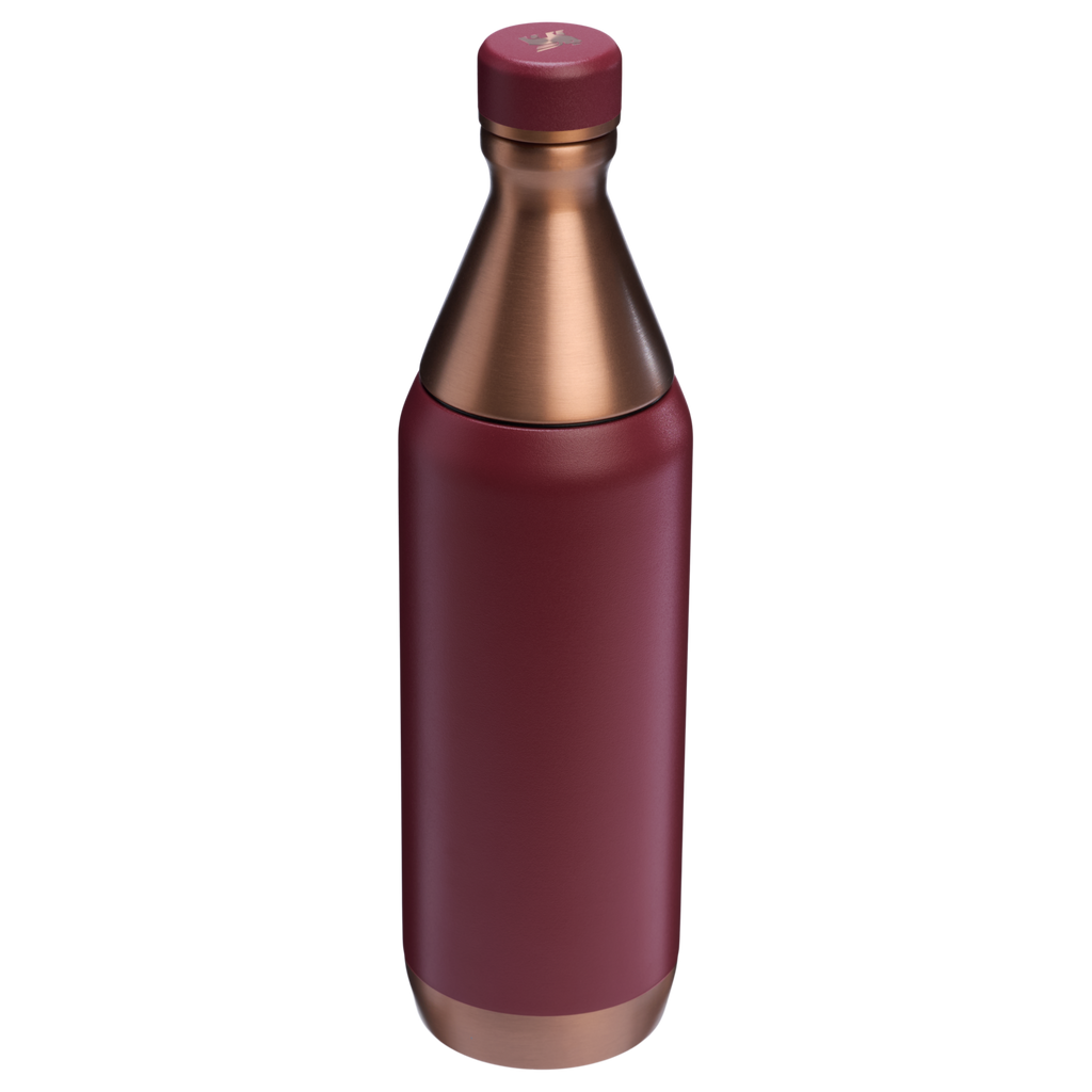 All Day Slim Bottle | 20 OZ - Stanley Create - School Day Ready