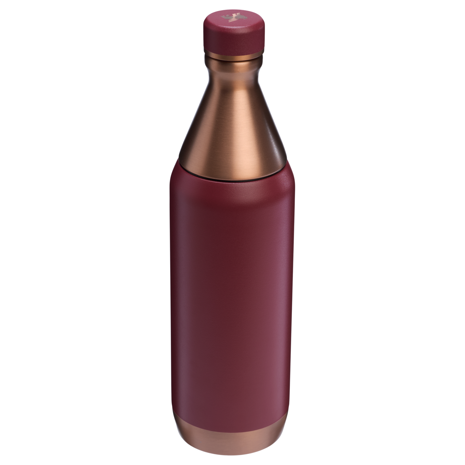 All Day Slim Bottle | 20 OZ - Stanley Create - School Day Ready