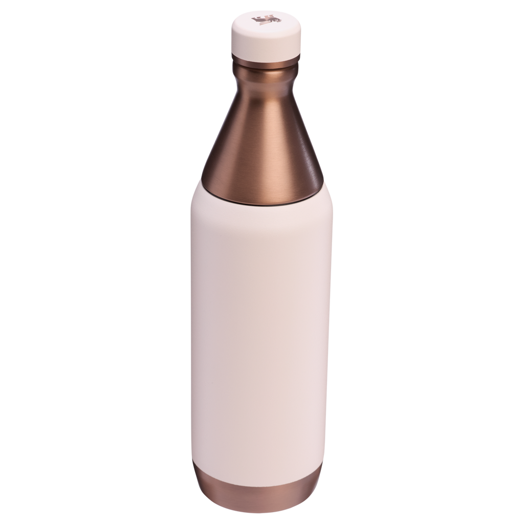 All Day Slim Bottle | 20 OZ - Stanley Create - School Day Ready