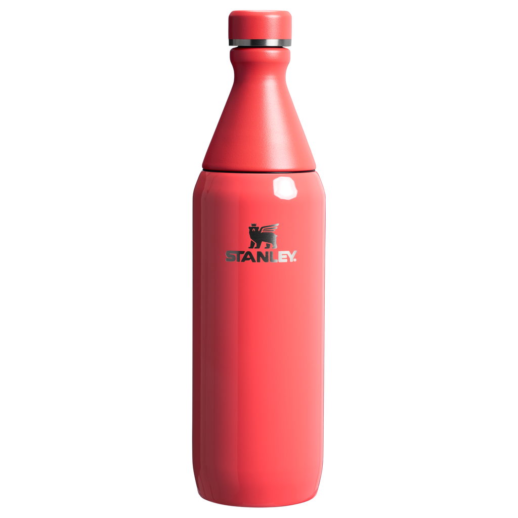 All Day Slim Bottle | 20 OZ - Stanley Create - School Day Ready