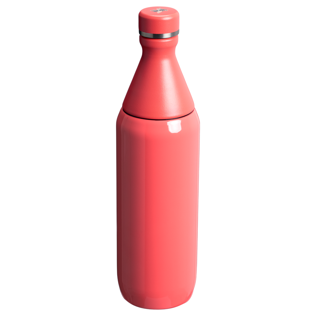 All Day Slim Bottle | 20 OZ - Stanley Create - School Day Ready
