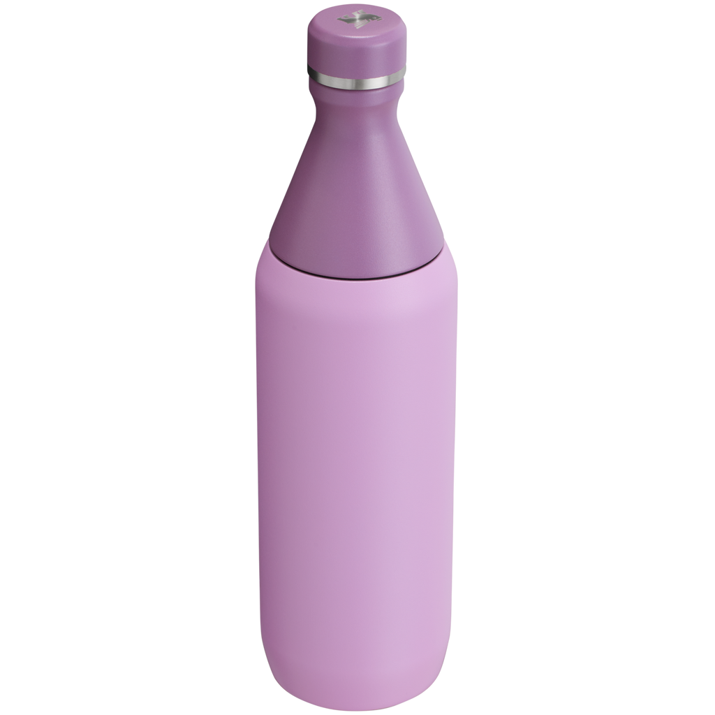 All Day Slim Bottle | 20 OZ - Stanley Create - School Day Ready