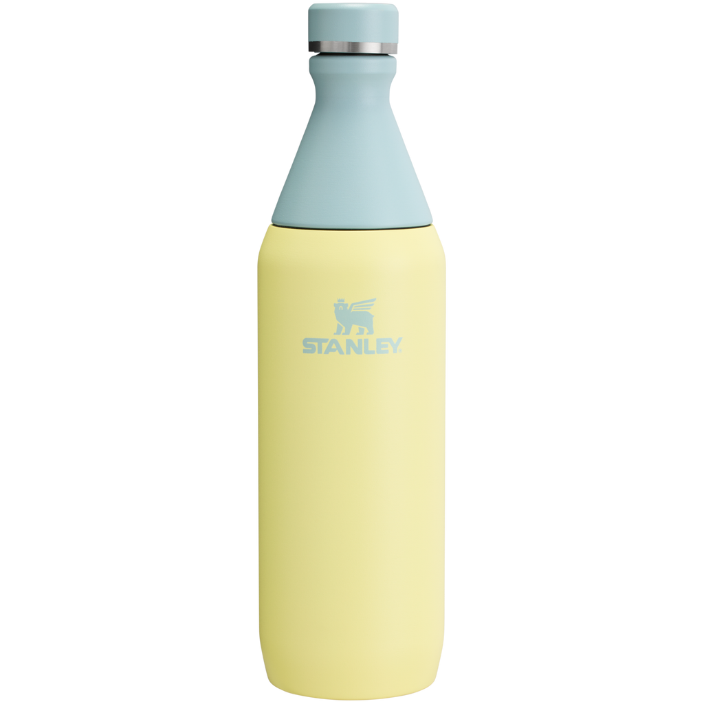 All Day Slim Bottle | 20 OZ - Stanley Create - School Day Ready