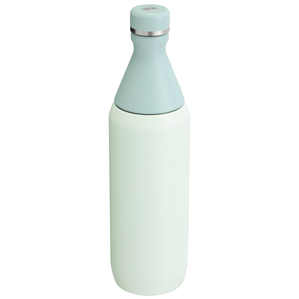 All Day Slim Bottle | 20 OZ - Stanley Create - School Day Ready