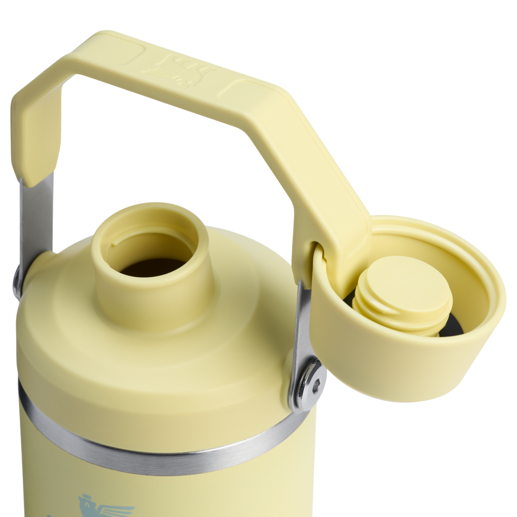 The IceFlow™ Tumbler with Fast Flow Lid | 20 OZ - Stanley Create - Water Ready Daily
