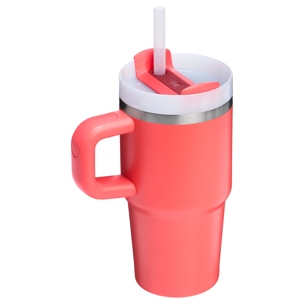 The Quencher H2.O FlowState™ Tumbler with Handle | 20 OZ - Stanley Create - Daily Drinkware