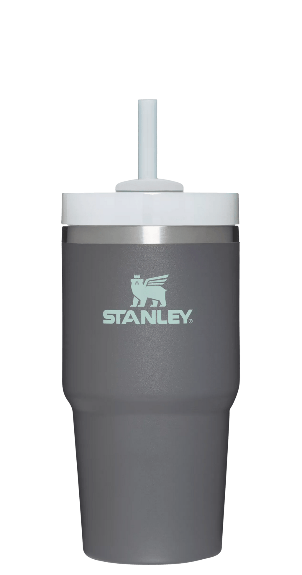 The Quencher H2.0 FlowState™ Tumbler | 20 OZ - Stanley Create - Ready for Long Days